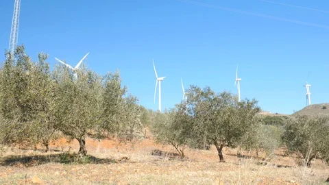Five wind generators on top of a hill against blue sky, Olive trees Stock Footage 119976595