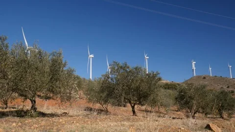 Five wind generators on top of a hill and olive trees in the foreground. Stock Footage 120029830