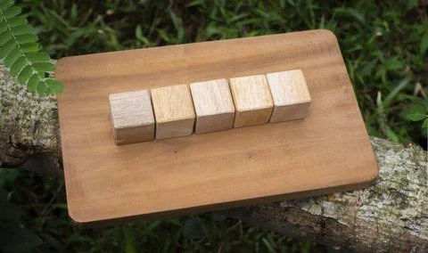 Five Wooden Cubes Aligned on Rustic Wooden Board Business Growth Concept Stock Photos