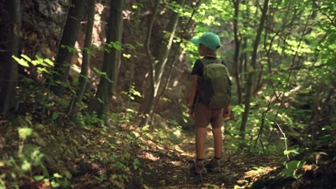 A five-year-old boy with a backpack walks along a mountain forest trail, full of Stock Footage 250858902