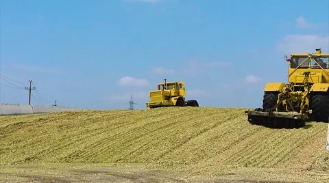 Five Yellow Tractors Tamp Silage in the Silo Trench Stock Footage 65787254