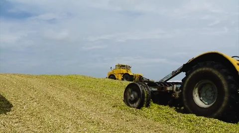 Five Yellow Tractors Tamp Silage in the Silo Trench Stock Footage 65787295