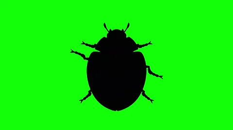 Fixed Beetle on green screen, CG animated silhouette, looping Stock Footage 64996758