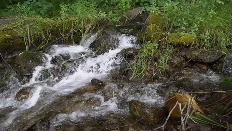 Fixed Camera on a green and brown flowing river with sound Stock Footage 93783826