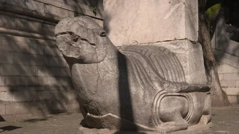 Fixed Head Up of the Right Stone Stele of Dacheng Hall in Chaotigong. Video stock 247431064