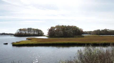 Fixed Marshland Stock Footage 40812150