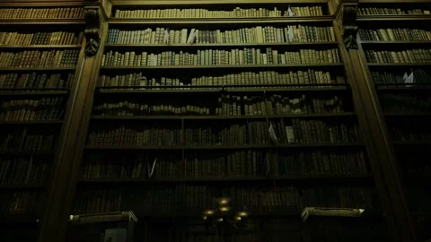 Fixed shot in the library of the Palais Bourbon in Paris, France. Stock Footage 194687520