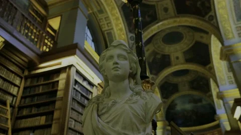 Fixed shot in the library of the Palais Bourbon in Paris, France. Stock Footage 194687522
