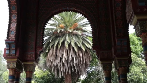Fixed shot of palm tree between arches of the Moorish kiosk Stock Footage 162021069