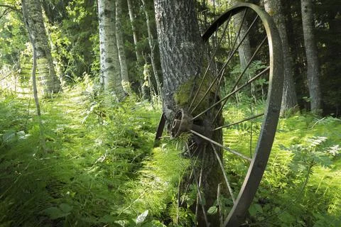 Fixed wheel from an old agricultural implement Fotos de archivo