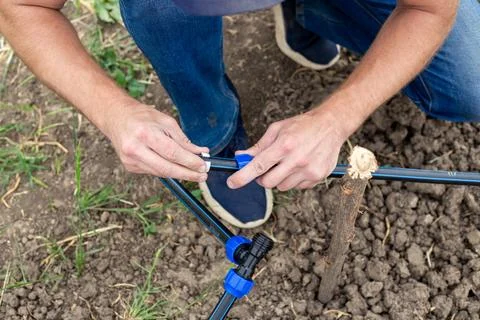 Fixing and connecting pipes using a fitting. man installs an automatic drip.. Fotos Stock