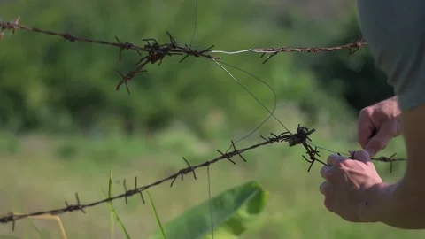 Fixing rusty barb spike wire fence Stock Footage 171782781
