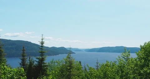 Fjord view from the forest mountain in bright sunny day Vídeo Stock 130970894