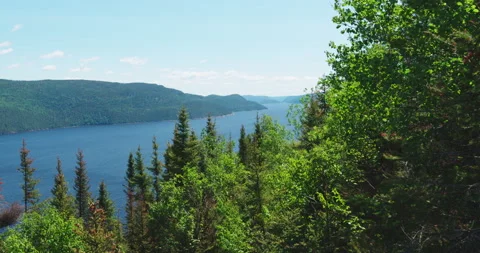 Fjord view from the forest mountain in bright sunny day Vídeo Stock 130971902