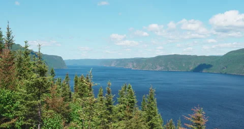 Fjord view from the forest mountain in bright sunny day / Left pan Vídeo Stock 130972745
