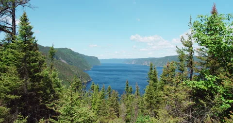 Fjord view from the forest mountain in bright sunny day Vídeo Stock 130974507