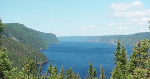 Fjord view from the forest mountain in bright sunny day Stock Footage 130974560