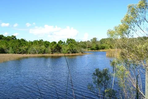 FL Go Outside Stock Photos