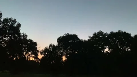 Fl sunrise 4k Stock Footage 205039297
