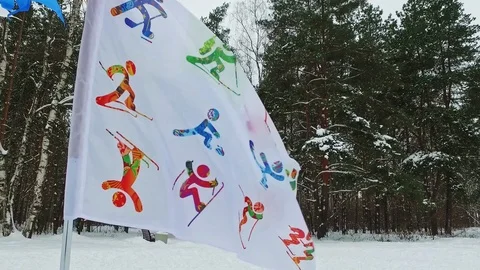 Flag with abbreviations develops in the wind in the forest Stock Footage 86448838