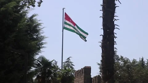 Flag of Abkhazia Stock Footage 253640598