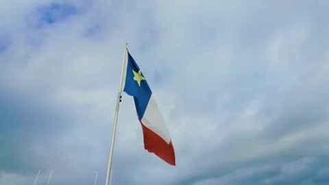 The Flag Of Acadia Flag waving in the wind against a cloudy sky with scatte.. Stock Footage 336363048
