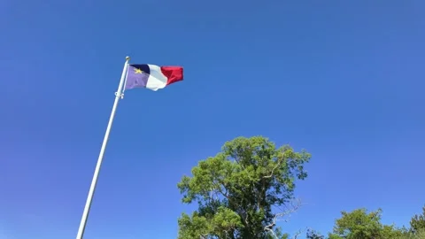 The Flag Of Acadia Flag waving in the wind against a blue sky with scattere.. Stock Footage 336363064
