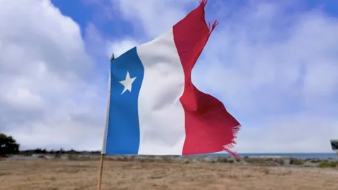 The Flag Of Acadia Flag waving in the wind against a blue sky with scattere.. Stock Footage 336363088