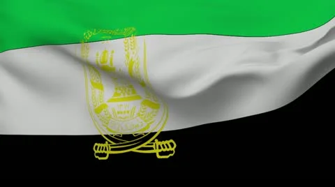 Flag of Afghanistan Stock Footage 10861424