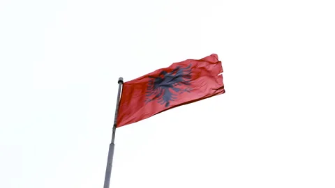 Flag of Albania on a flagpole in strong wind Video stock 255558645