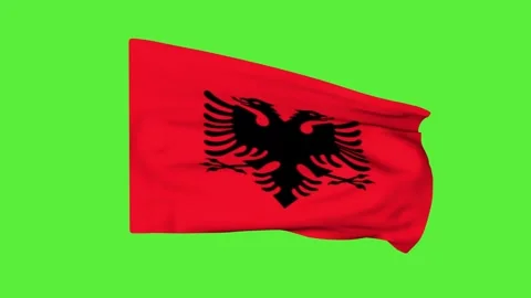 Flag of Albania Stock Footage 242930947