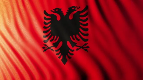 Flag of Albania 動画素材 295272189