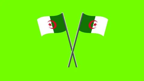 Flag Of Algeria, Algeria flag vector, National flag of Algeria. Crossed tab.. Stock Illustration