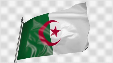 Flag of Algeria on a flagpole. 3D animation with alpha channel Stock Footage 206862862