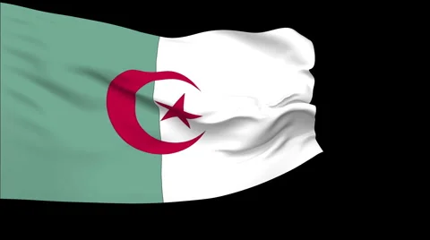 Flag of Algeria Stock Footage 1052715