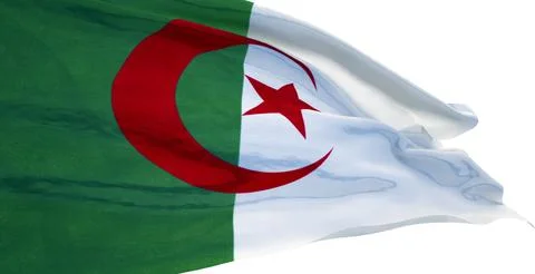 Flag of Algeria 库存插图
