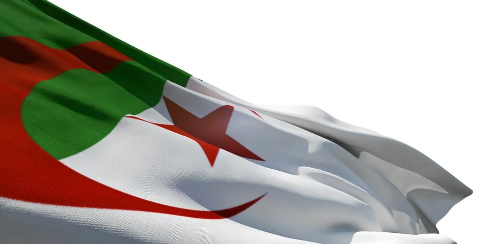 Flag of Algeria 库存插图