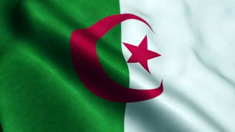 Flag of Algeria - Seamless loop 스톡 동영상 206144725
