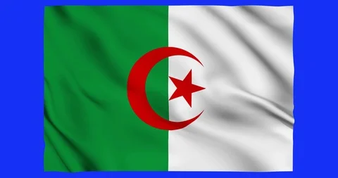 Flag of algeria waving on a samless loop over an easily removable background Stock Footage 98370691