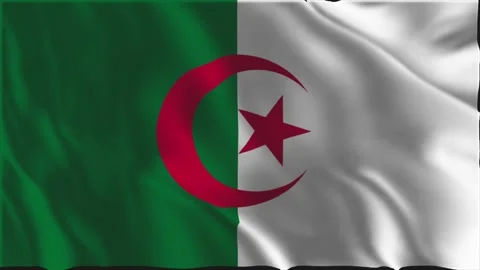 Flag of Algeria waving slowly Video stock 334892705