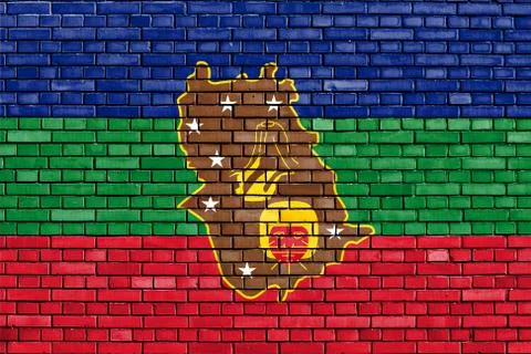 Flag of Amazonas State painted on brick wall Stock Photos
