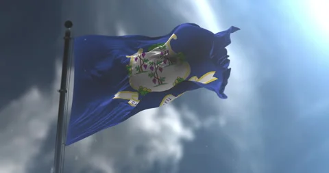 Flag of american state of Connecticut waving. Loop. Slow Motion Stock Footage 340067331