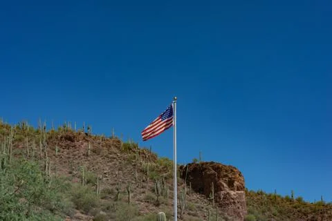 Flag and Cactus Stock Photos