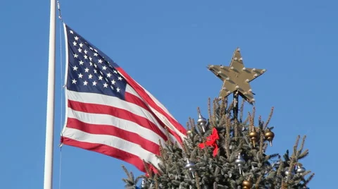 Flag and the Xmas tree 動画素材 1002523