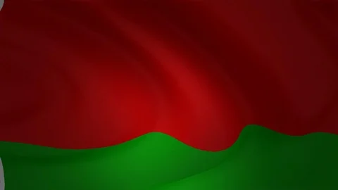 Flag animation of the Belarus 库存影片 90684612