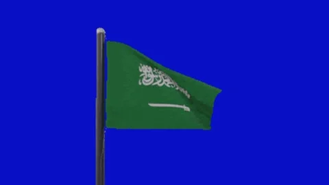 Flag animation on chroma key background Vidéo 330038043