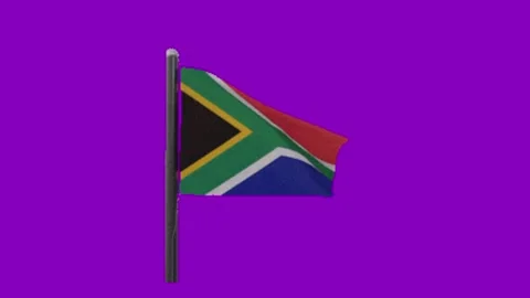 Flag animation on chroma key background Stock Footage 330038098