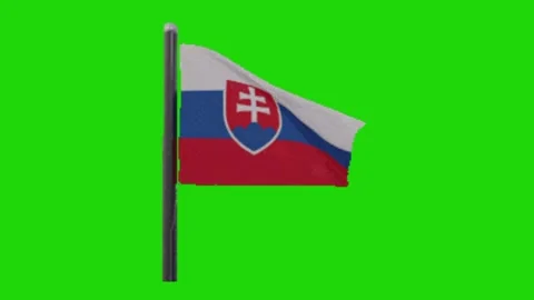 Flag animation on green screen Vidéo 328229007