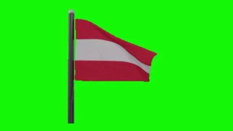 Flag animation on green screen Vidéo 328555128