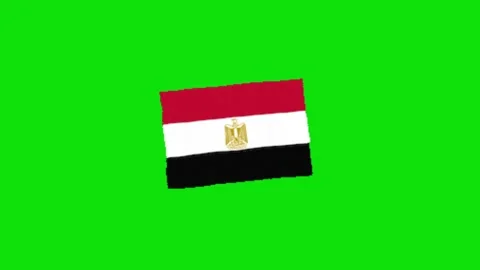 Flag animation on green screen Vídeo Stock 328898896